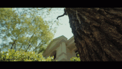 屋所有权人做为出租人将其衡宇出租给承